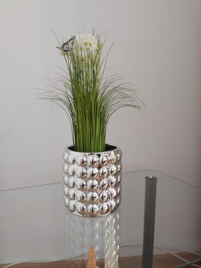Apartament Nala House Deva Zewnętrze zdjęcie